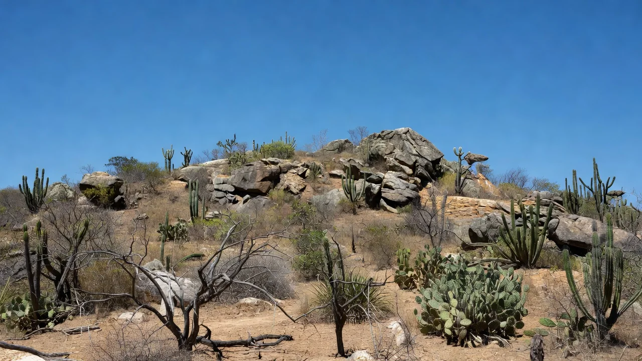 Morro com vegetação de caatinga e céu azul no interior da Bahia, sem pessoas